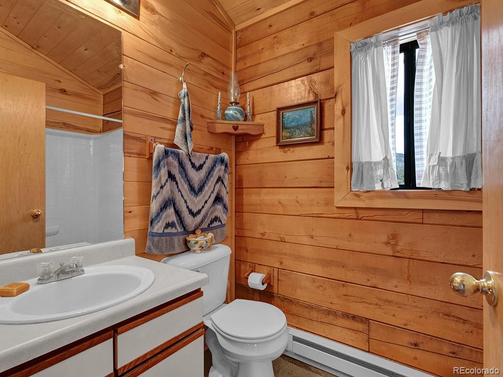 MLS Image #17 for 1462  pulver road,lake george, Colorado