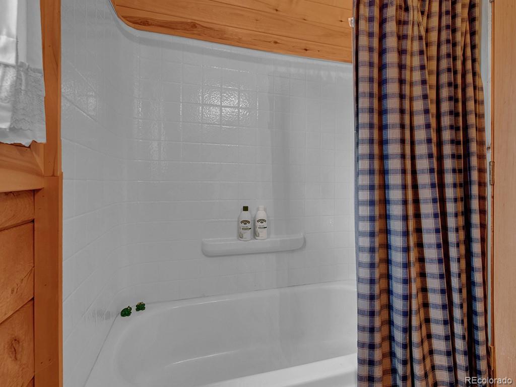 MLS Image #18 for 1462  pulver road,lake george, Colorado