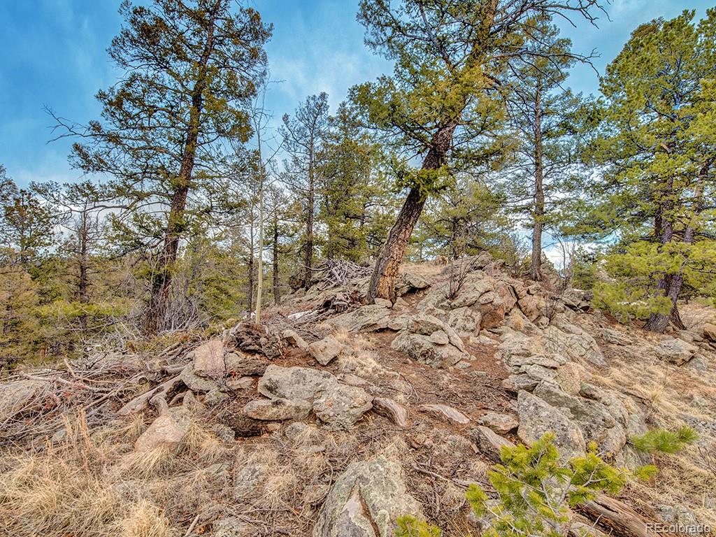 MLS Image #22 for 1462  pulver road,lake george, Colorado
