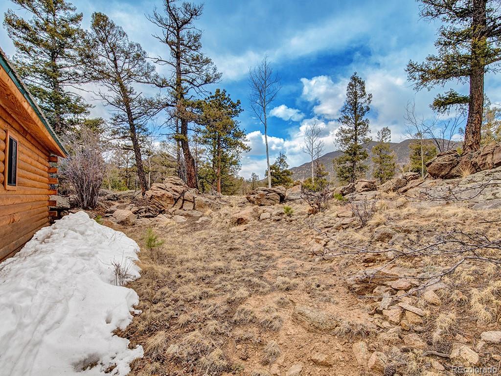 MLS Image #23 for 1462  pulver road,lake george, Colorado