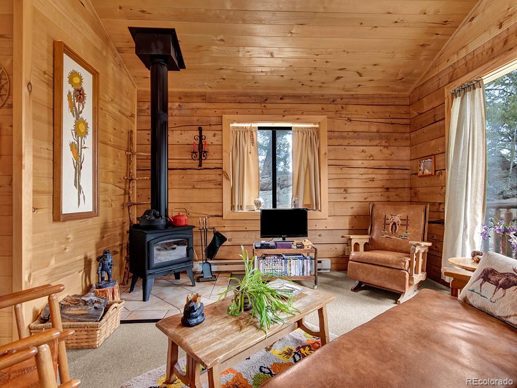 MLS Image #6 for 1462  pulver road,lake george, Colorado