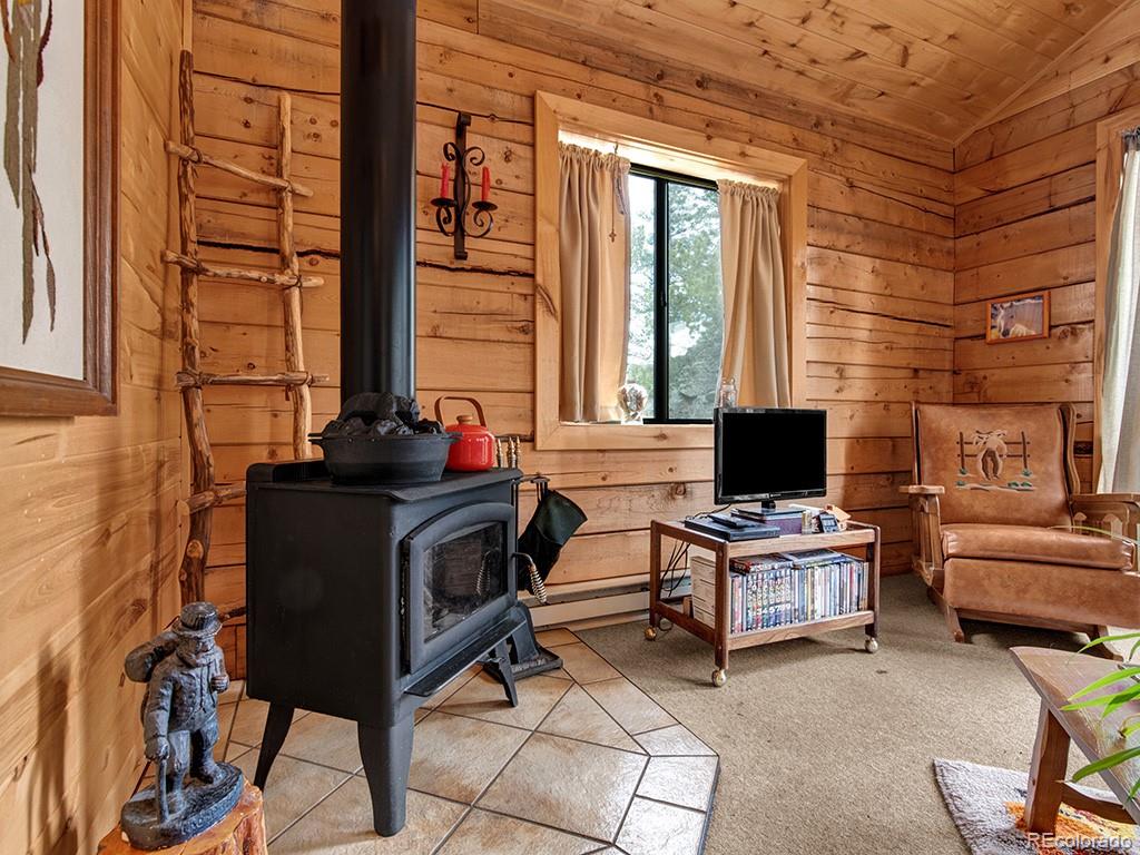 MLS Image #7 for 1462  pulver road,lake george, Colorado