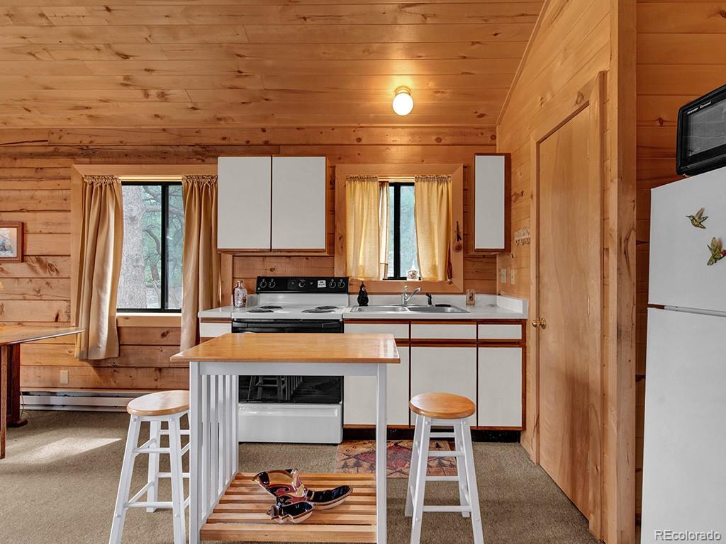 MLS Image #9 for 1462  pulver road,lake george, Colorado