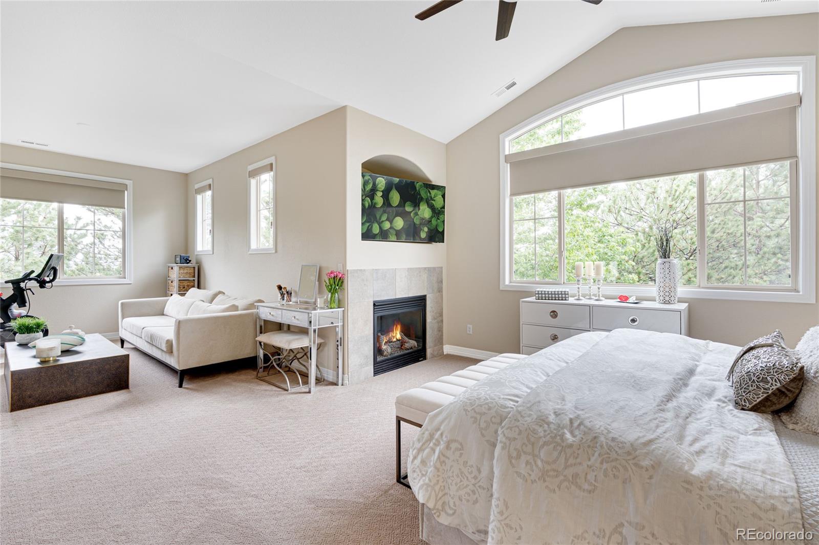 MLS Image #14 for 10066  bluffmont court,lone tree, Colorado