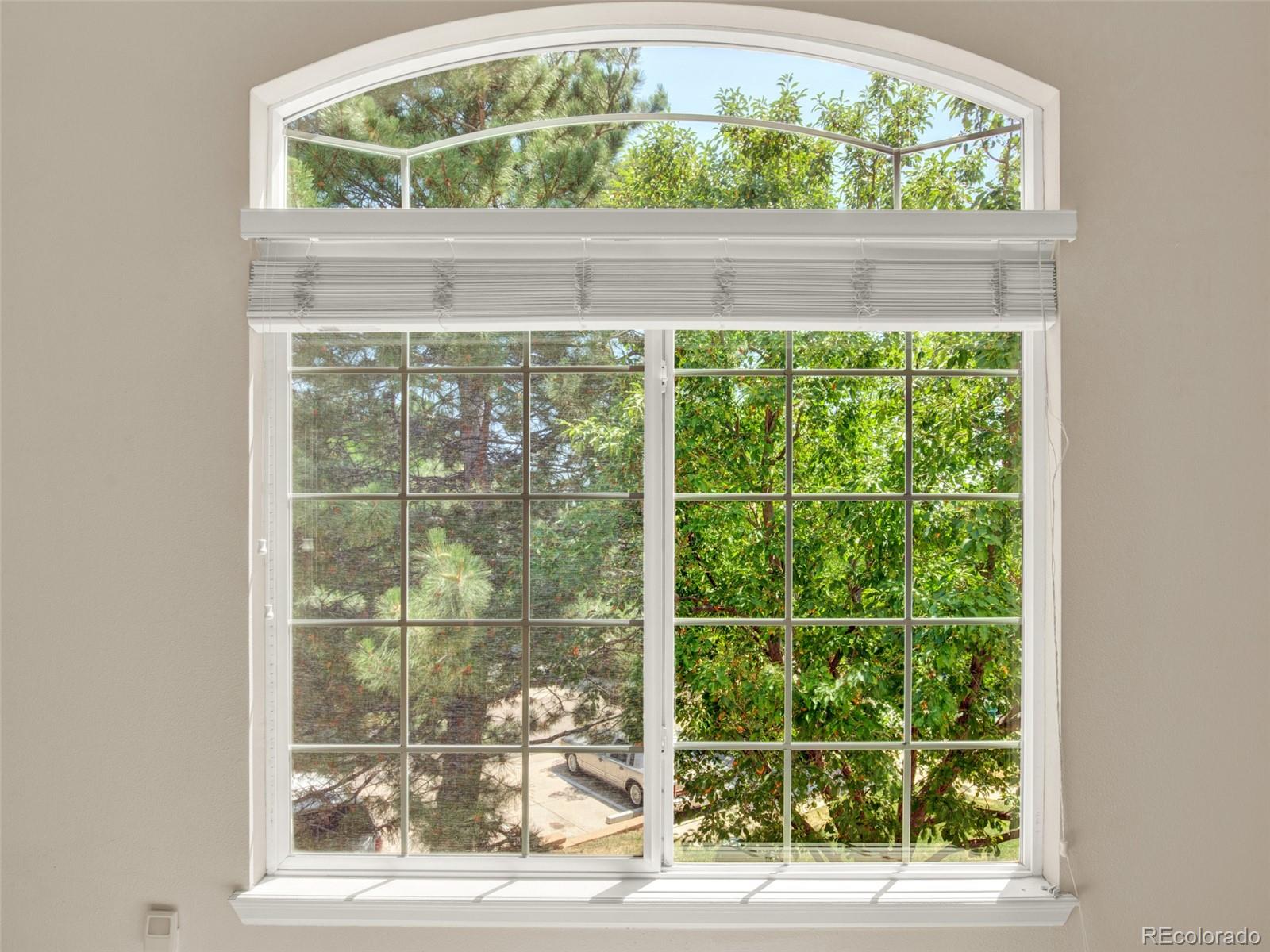 MLS Image #20 for 9108 w phillips drive,littleton, Colorado