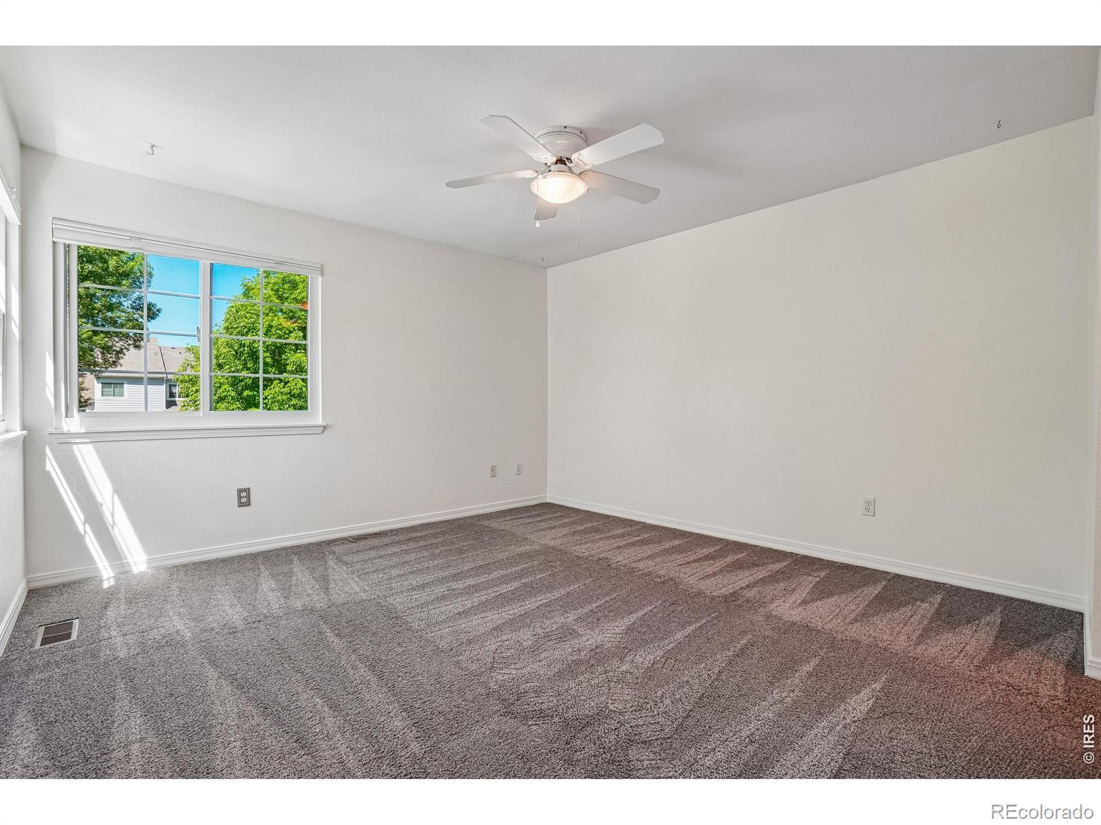 MLS Image #19 for 1419  red mountain drive,longmont, Colorado