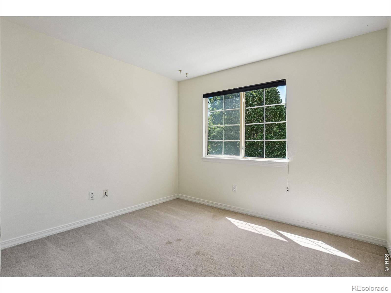 MLS Image #24 for 1419  red mountain drive,longmont, Colorado