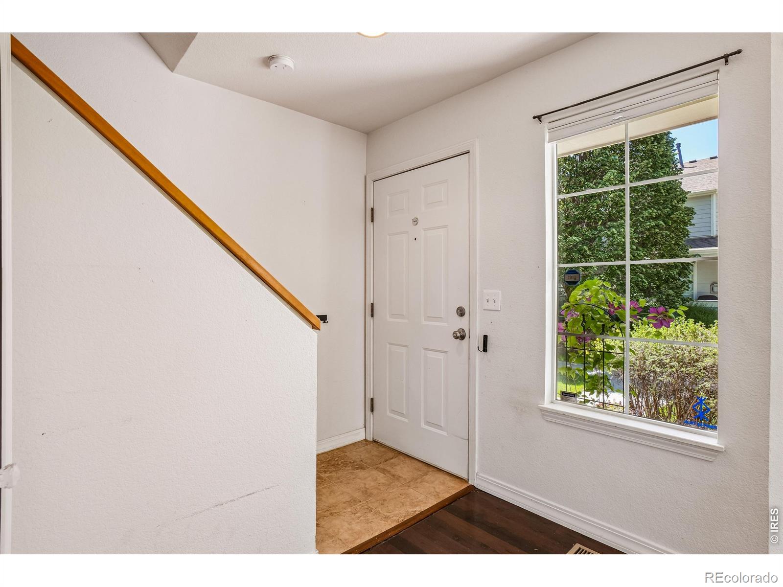 MLS Image #5 for 1419  red mountain drive,longmont, Colorado