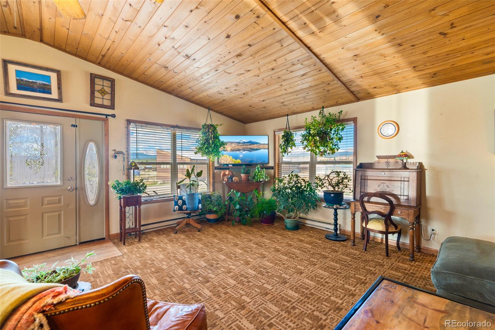 MLS Image #10 for 740  castello avenue,fairplay, Colorado