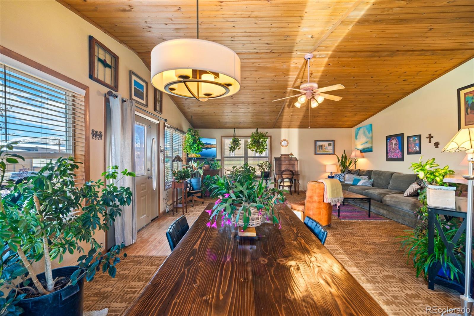 MLS Image #11 for 740  castello avenue,fairplay, Colorado