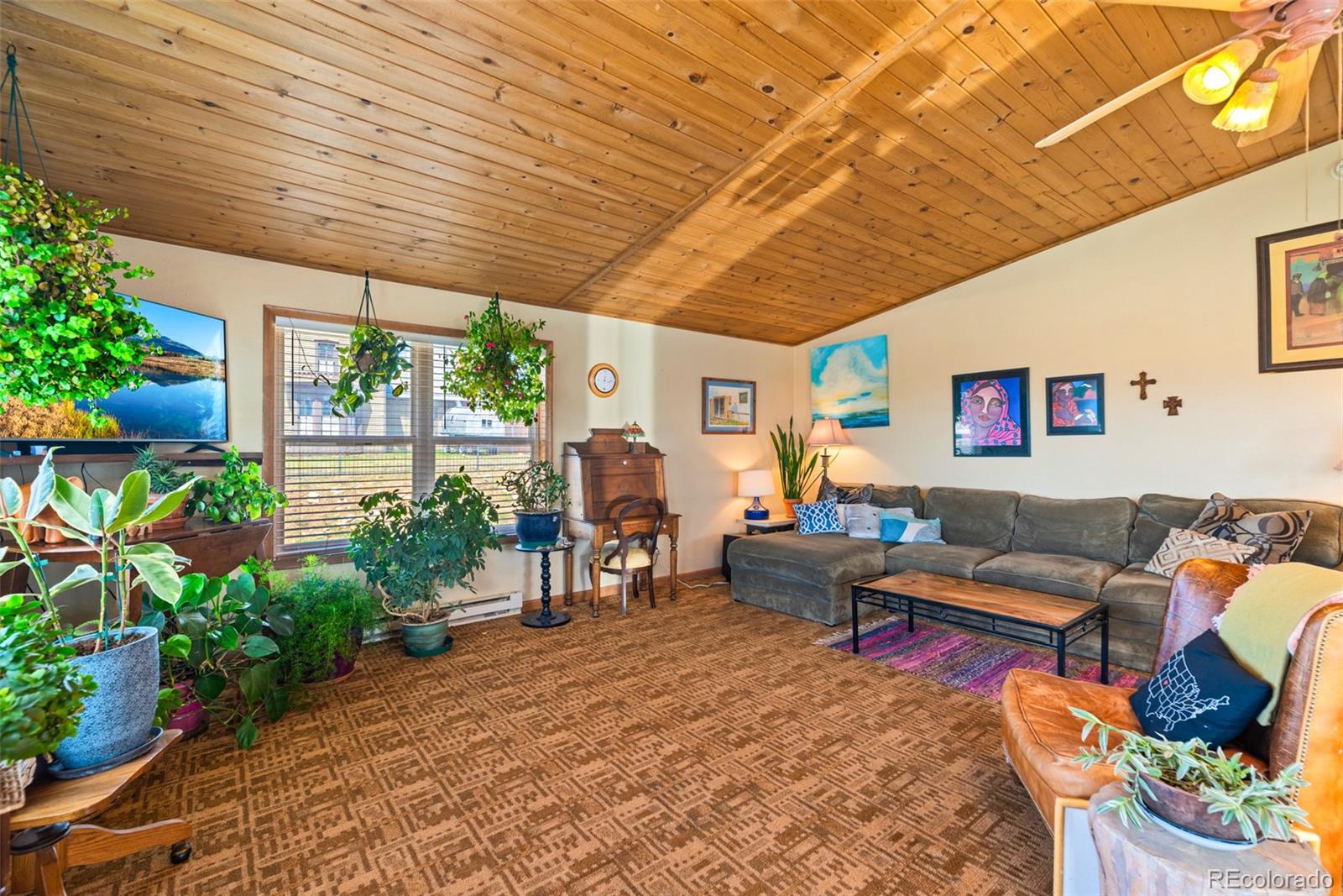 MLS Image #12 for 740  castello avenue,fairplay, Colorado