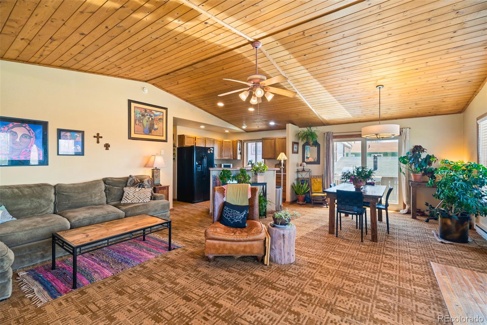 MLS Image #14 for 740  castello avenue,fairplay, Colorado