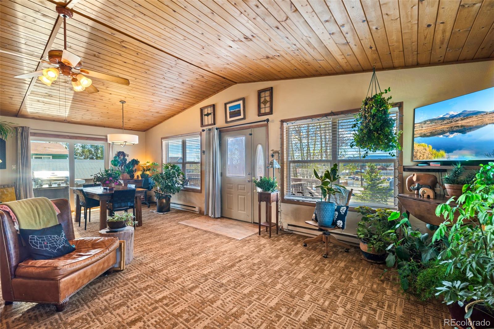 MLS Image #15 for 740  castello avenue,fairplay, Colorado