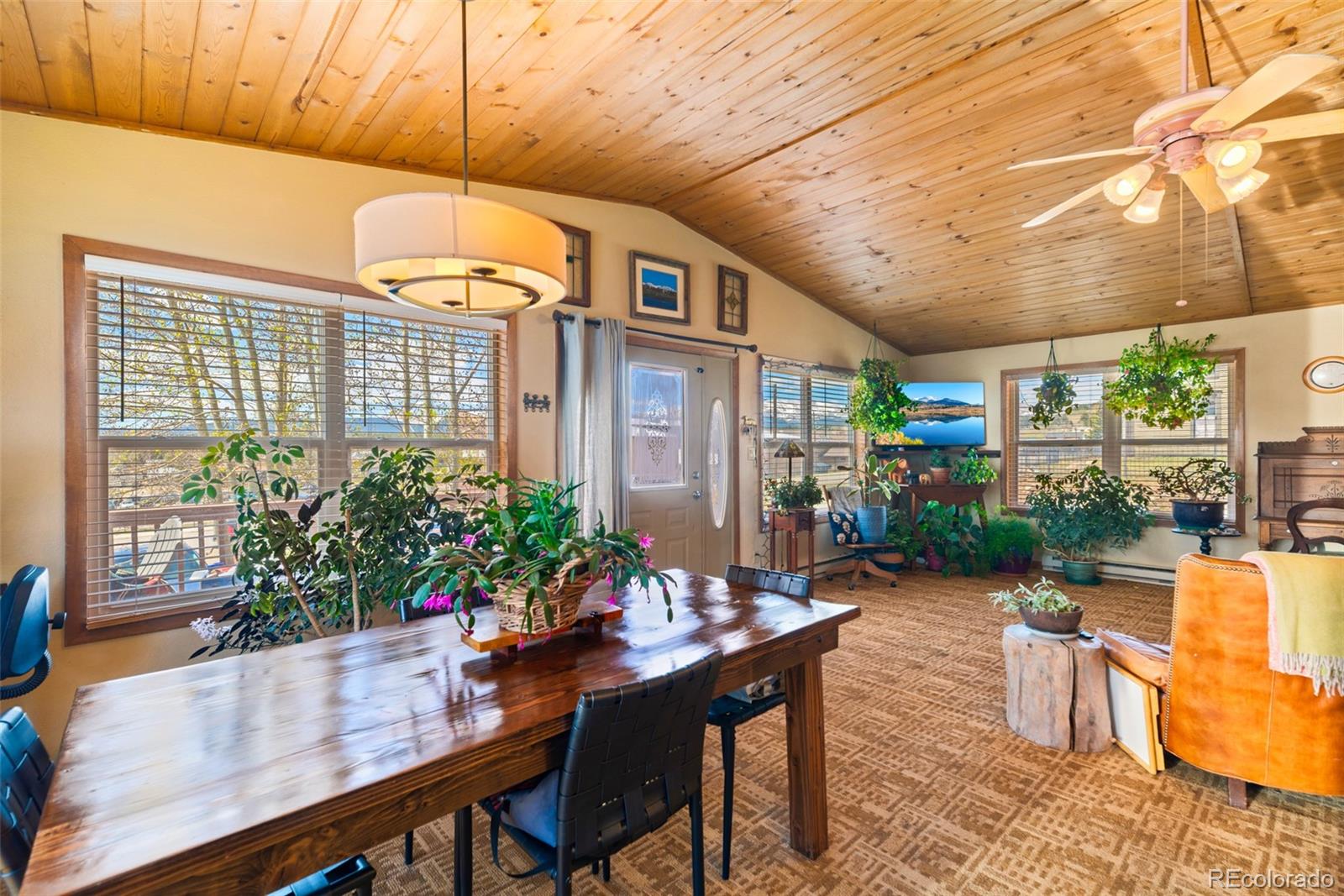 MLS Image #17 for 740  castello avenue,fairplay, Colorado