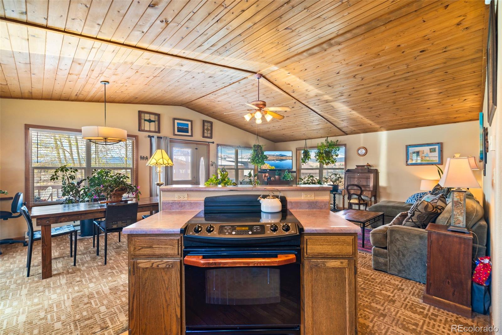 MLS Image #21 for 740  castello avenue,fairplay, Colorado
