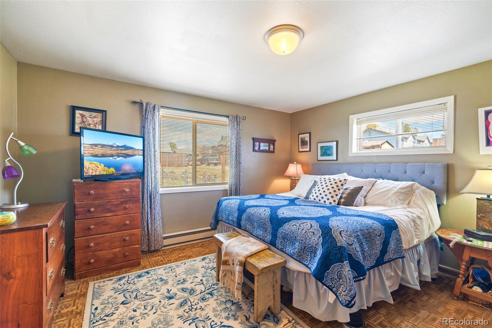 MLS Image #22 for 740  castello avenue,fairplay, Colorado
