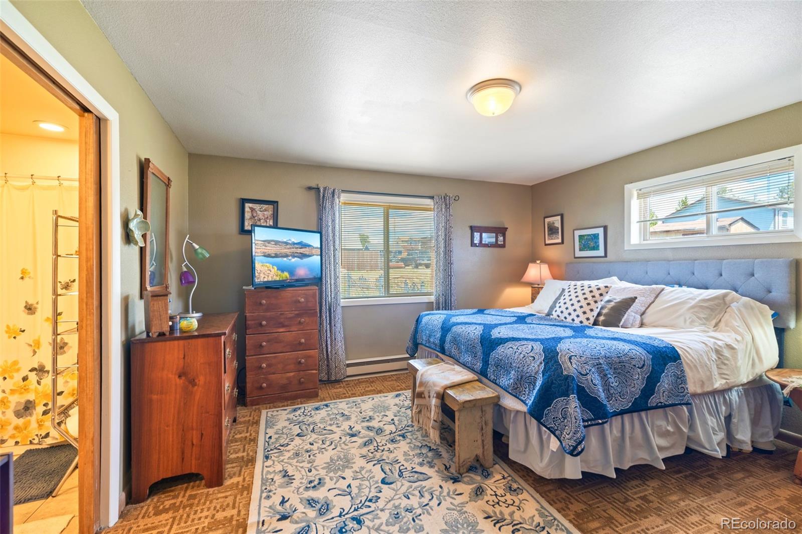 MLS Image #23 for 740  castello avenue,fairplay, Colorado
