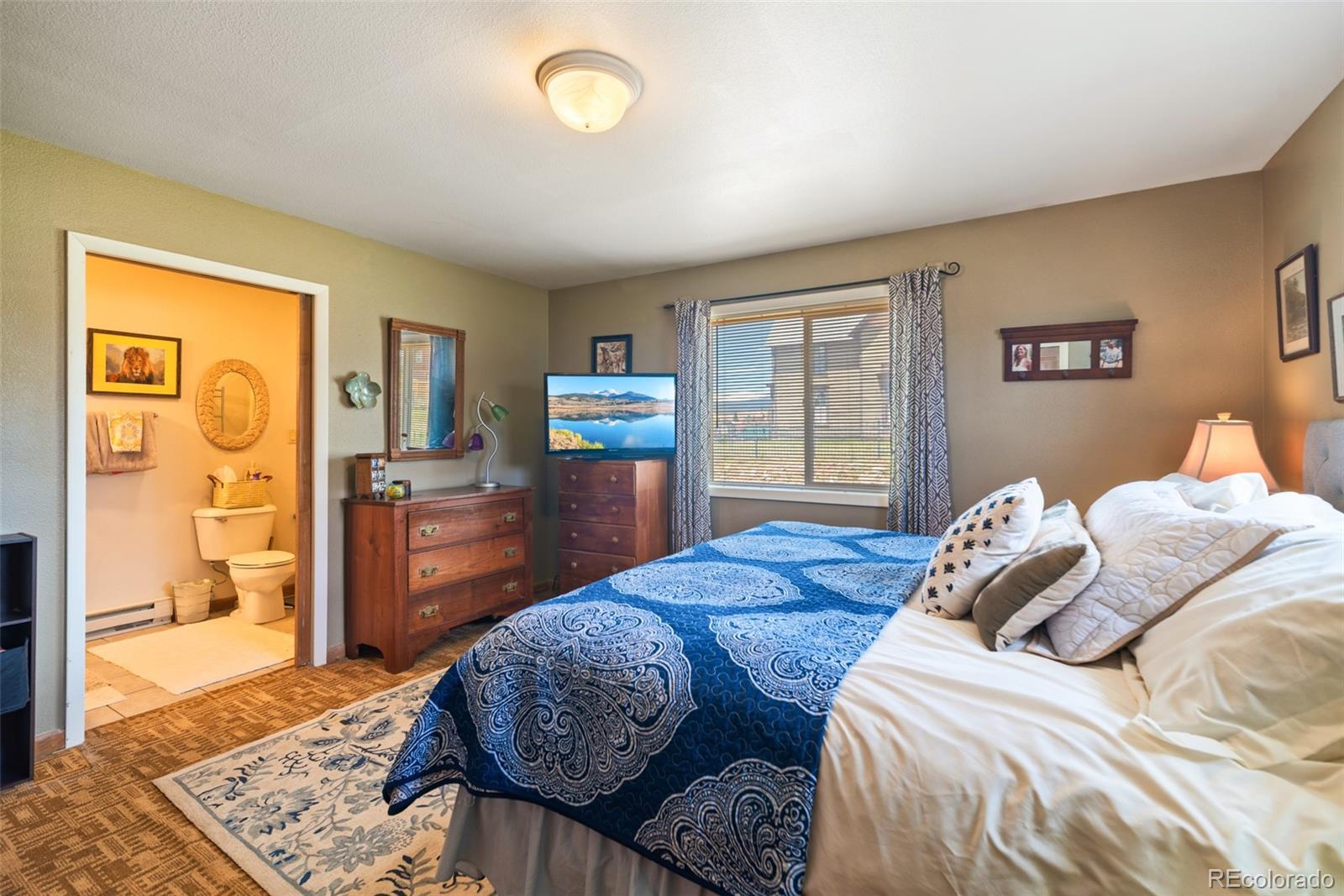 MLS Image #24 for 740  castello avenue,fairplay, Colorado