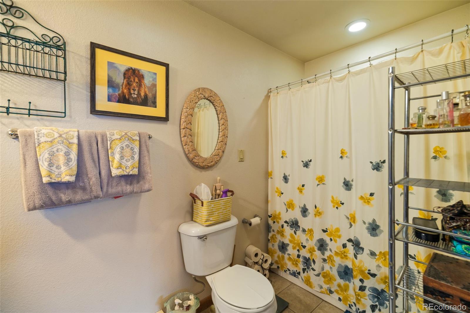 MLS Image #27 for 740  castello avenue,fairplay, Colorado