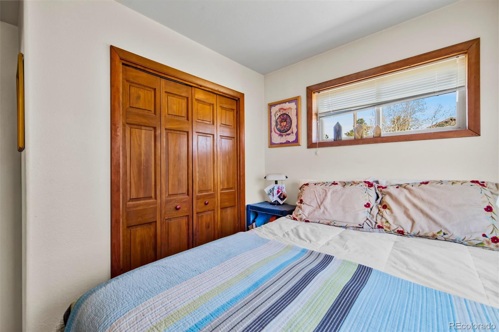 MLS Image #29 for 740  castello avenue,fairplay, Colorado
