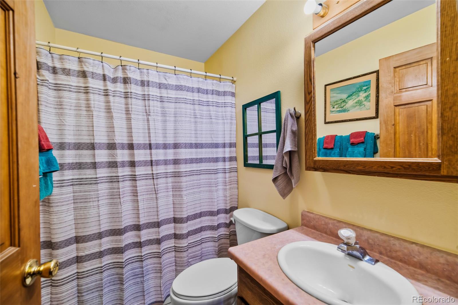 MLS Image #31 for 740  castello avenue,fairplay, Colorado