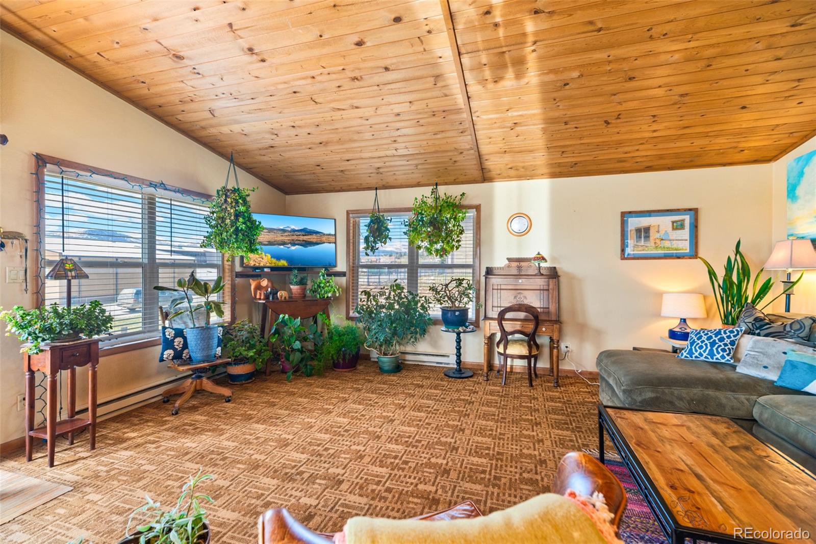 MLS Image #4 for 740  castello avenue,fairplay, Colorado