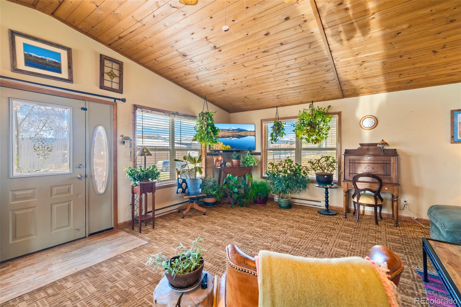 MLS Image #5 for 740  castello avenue,fairplay, Colorado