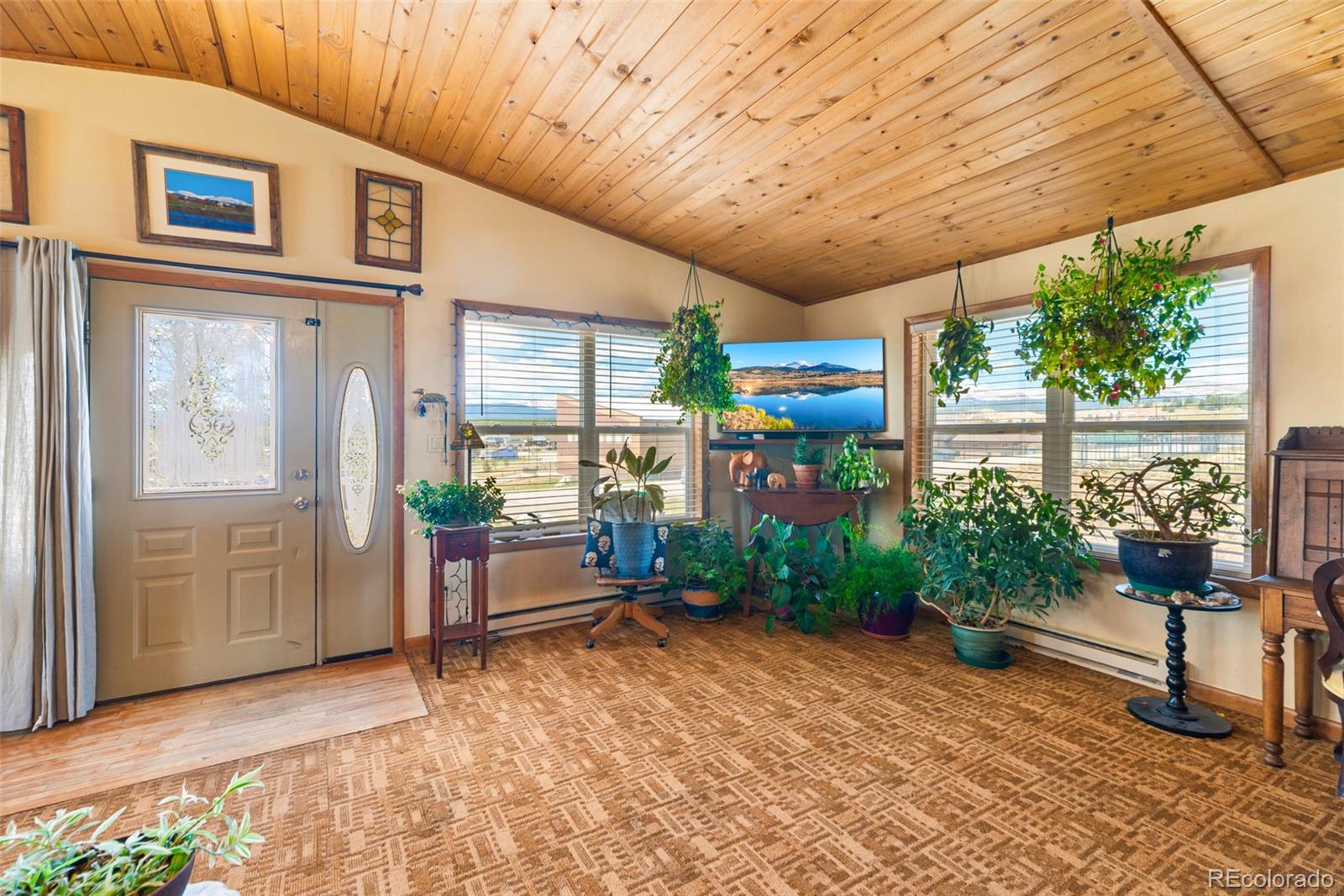 MLS Image #6 for 740  castello avenue,fairplay, Colorado