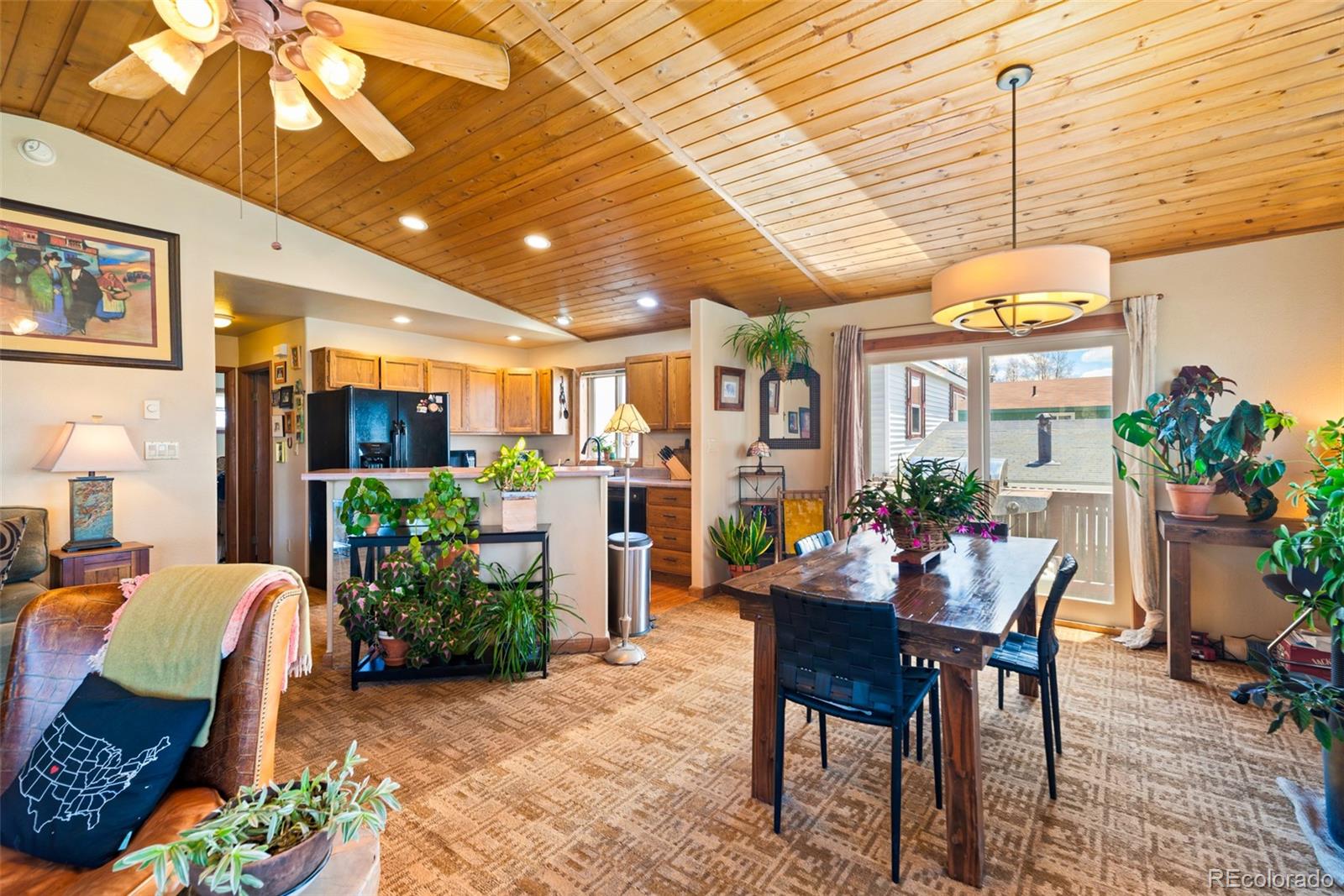 MLS Image #7 for 740  castello avenue,fairplay, Colorado
