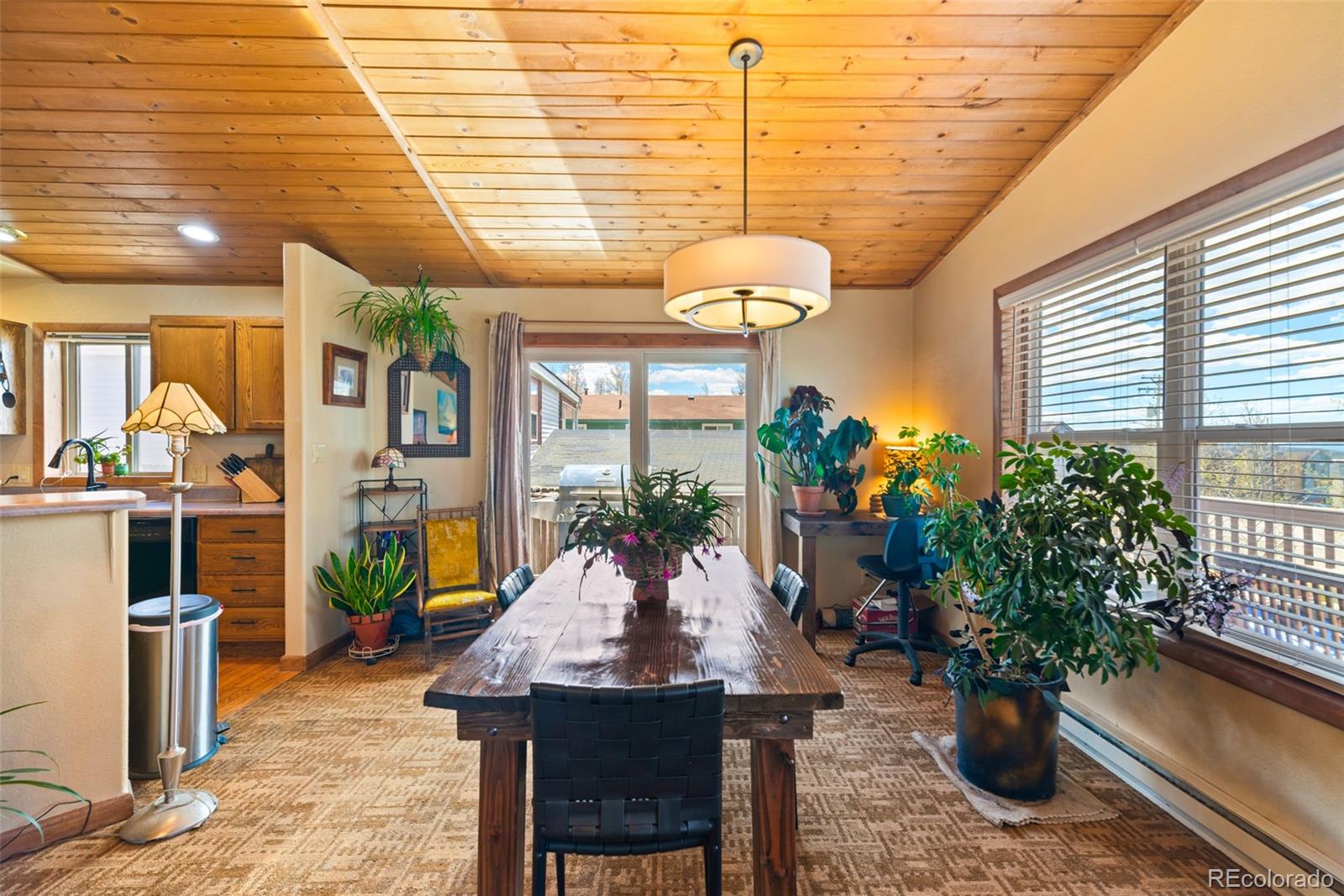 MLS Image #8 for 740  castello avenue,fairplay, Colorado