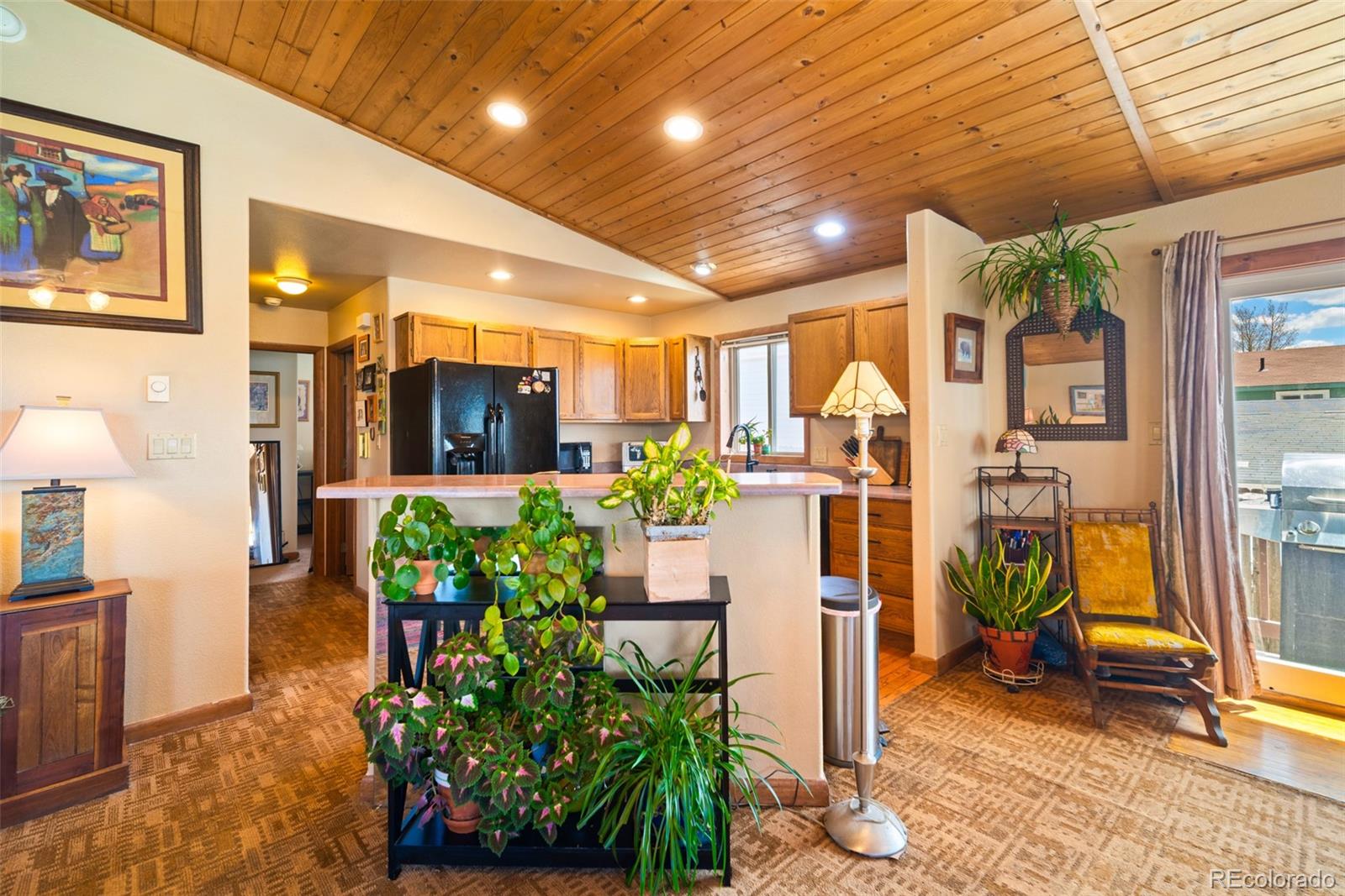 MLS Image #9 for 740  castello avenue,fairplay, Colorado