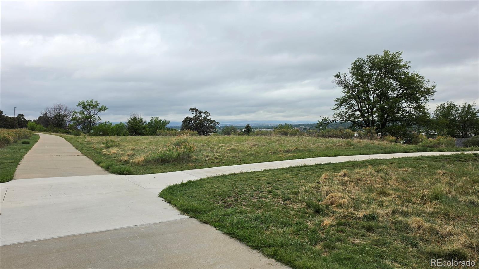 MLS Image #27 for 4860  fenton street,denver, Colorado