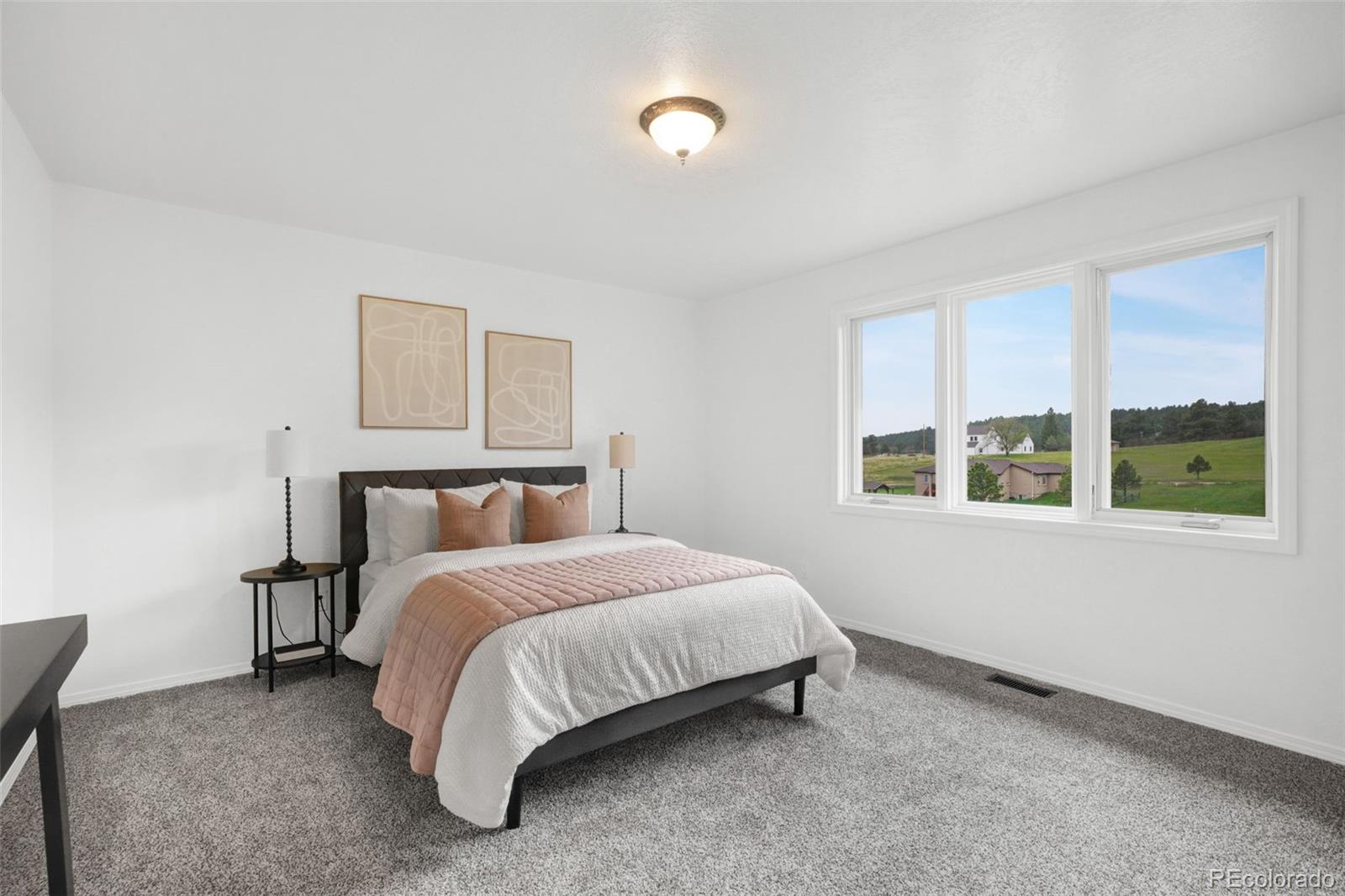 MLS Image #22 for 3555  range view road,monument, Colorado