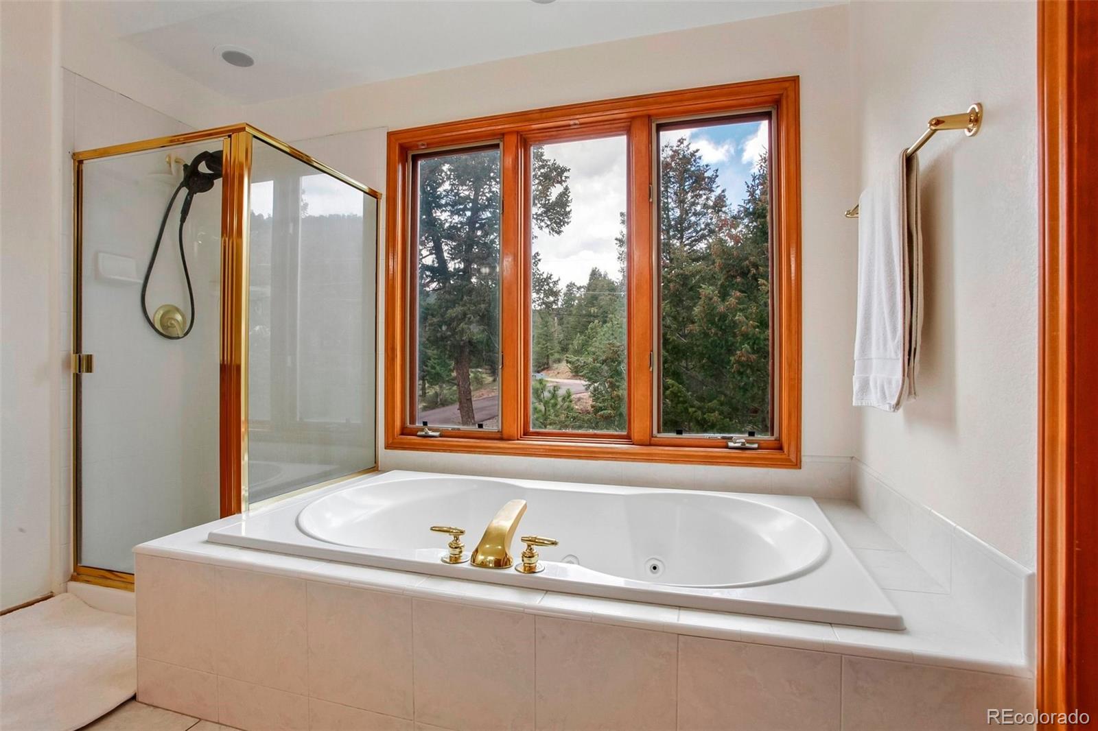MLS Image #14 for 6252 s king drive,evergreen, Colorado