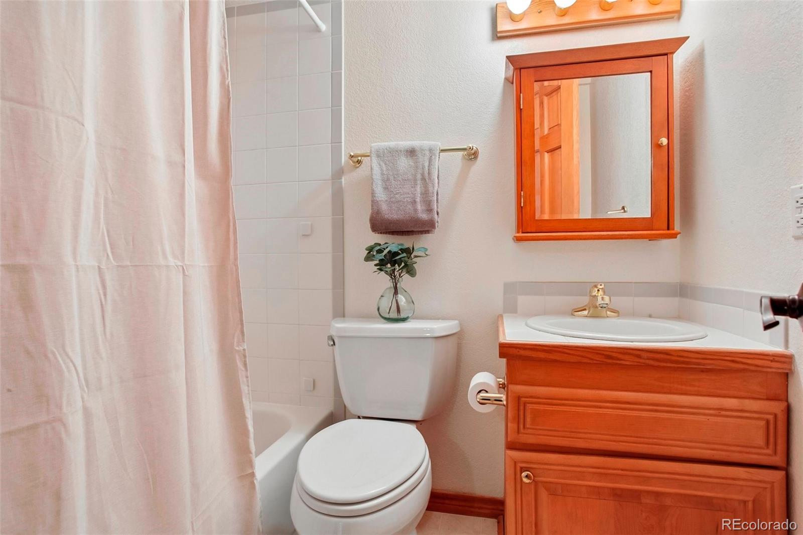 MLS Image #19 for 6252 s king drive,evergreen, Colorado