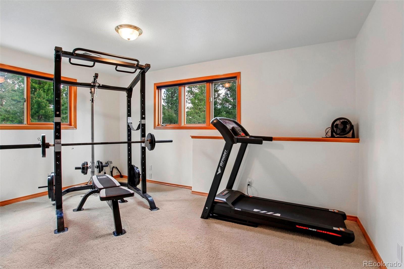 MLS Image #20 for 6252 s king drive,evergreen, Colorado