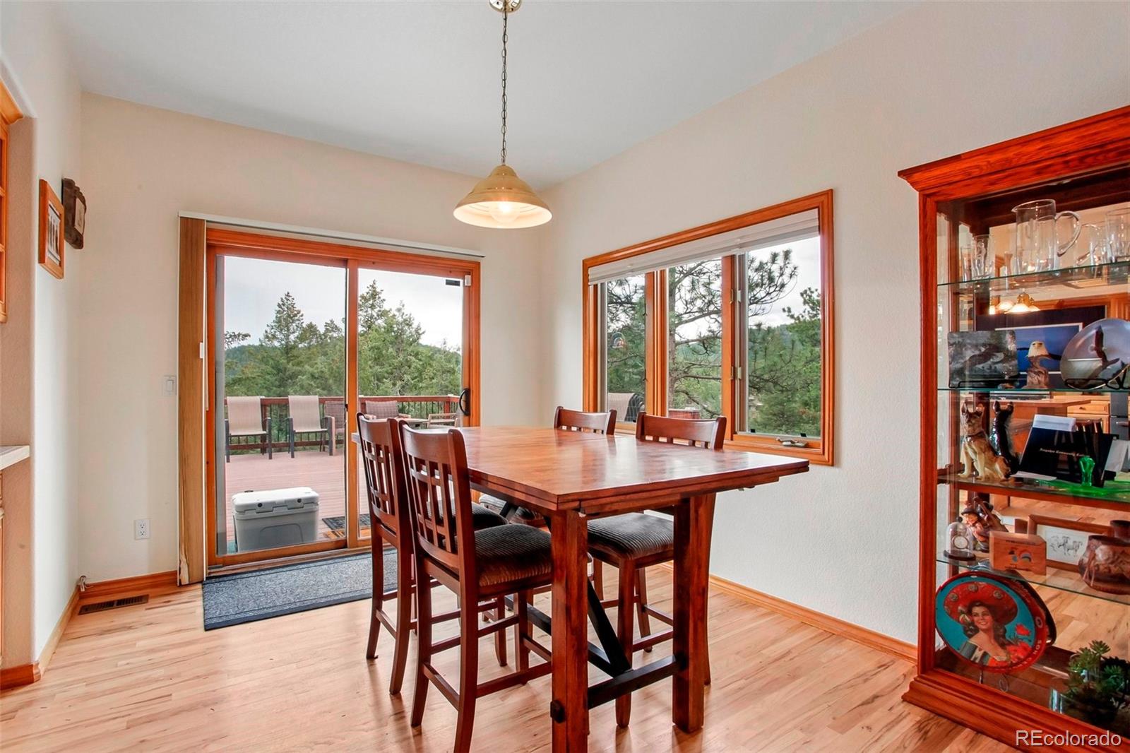 MLS Image #6 for 6252 s king drive,evergreen, Colorado