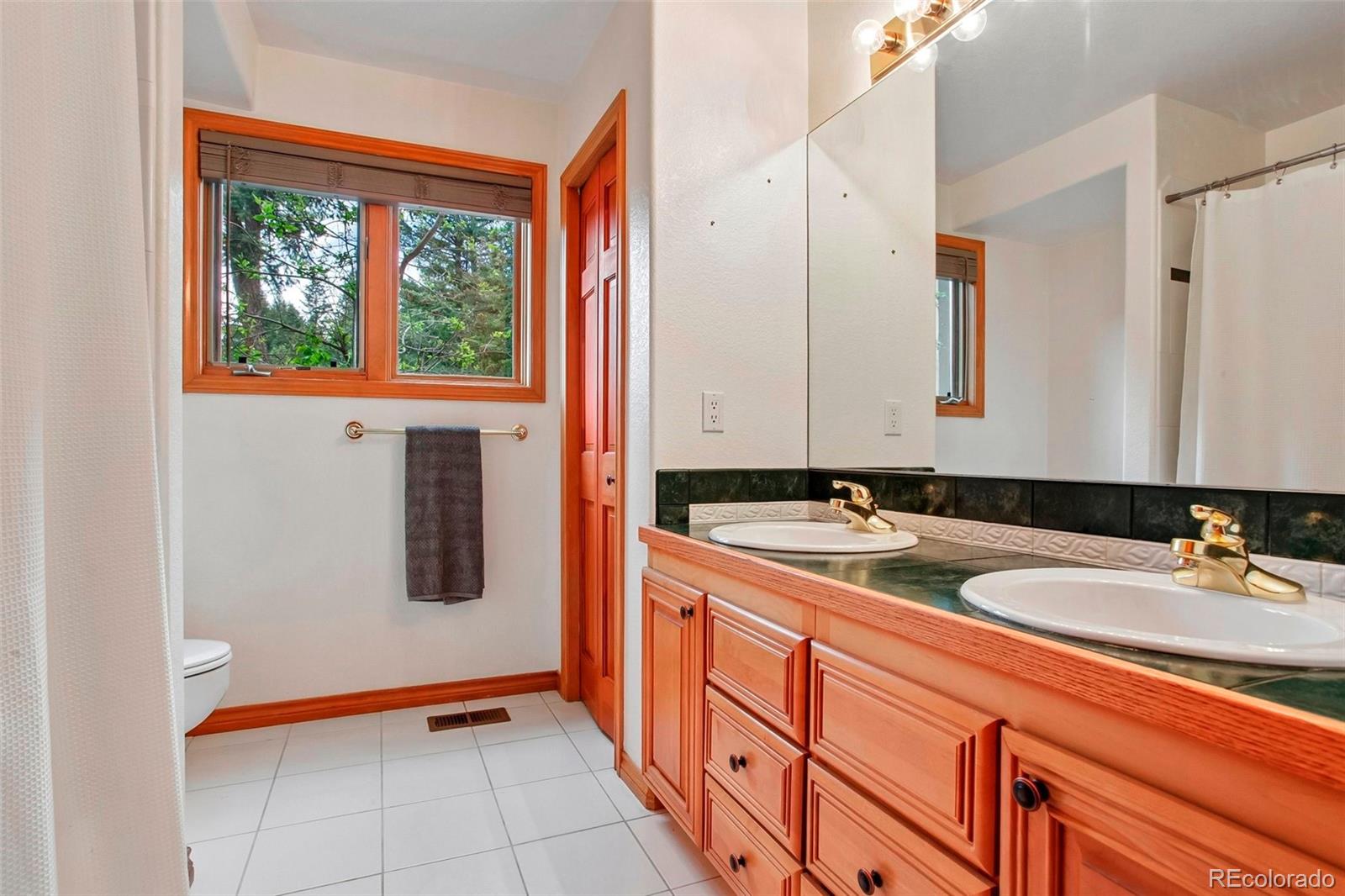 MLS Image #9 for 6252 s king drive,evergreen, Colorado