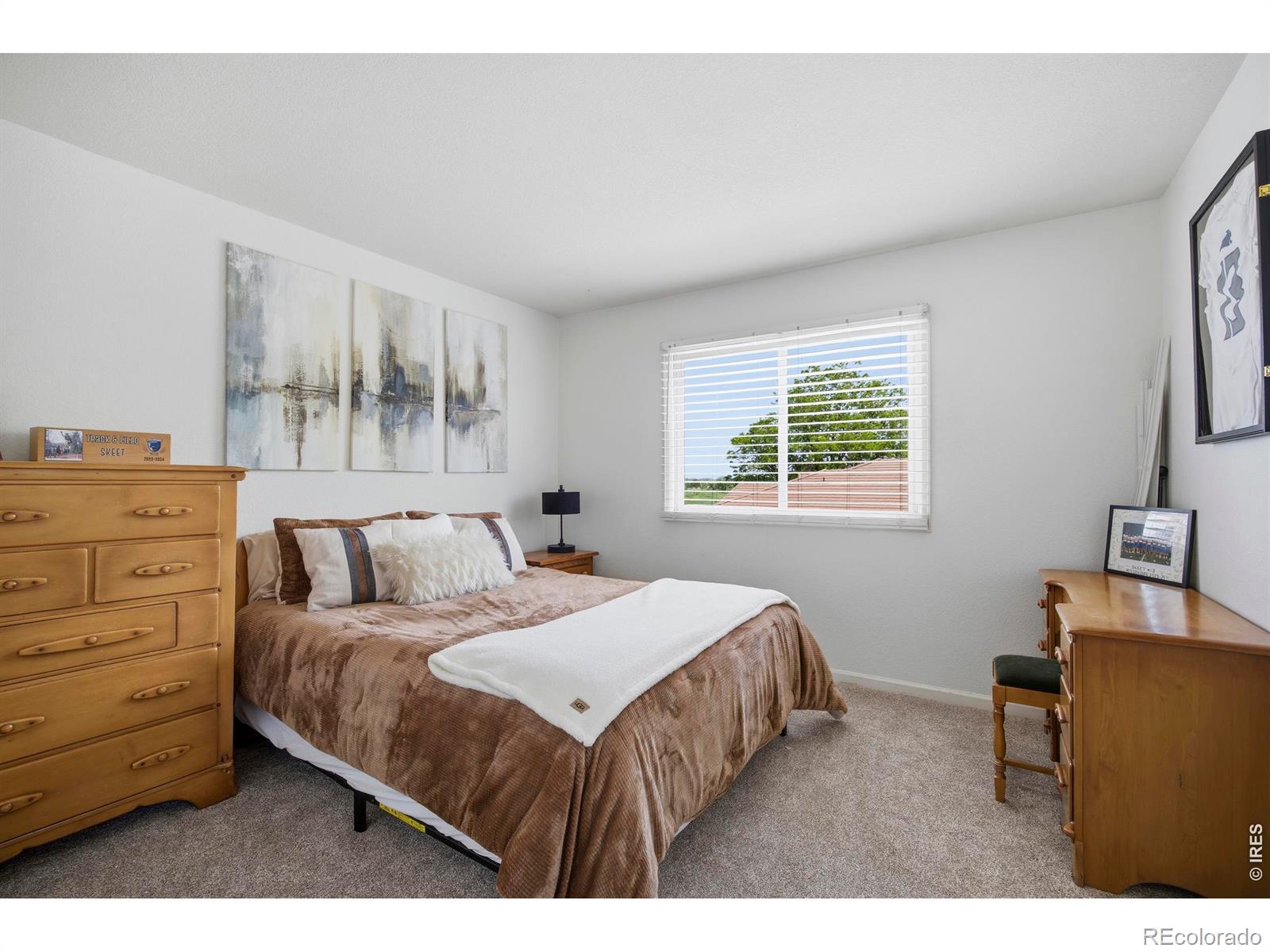MLS Image #25 for 5308  augusta trail,fort collins, Colorado