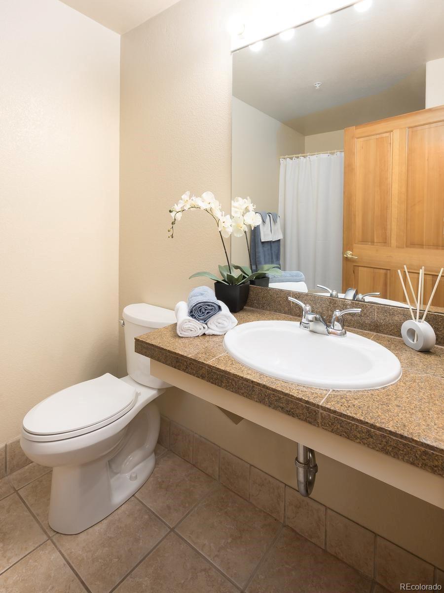MLS Image #18 for 23110  us highway 6 ,keystone, Colorado