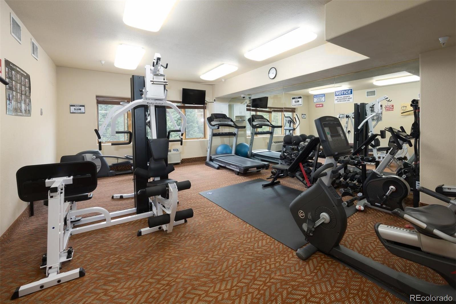 MLS Image #37 for 23110  us highway 6 ,keystone, Colorado