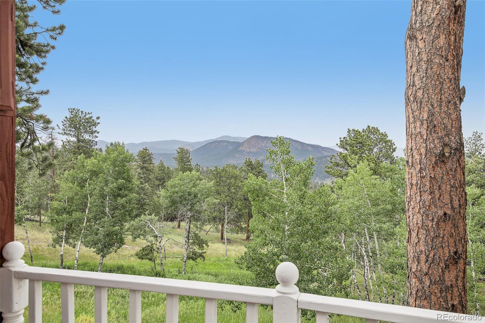 MLS Image #19 for 278  overlook drive,bailey, Colorado