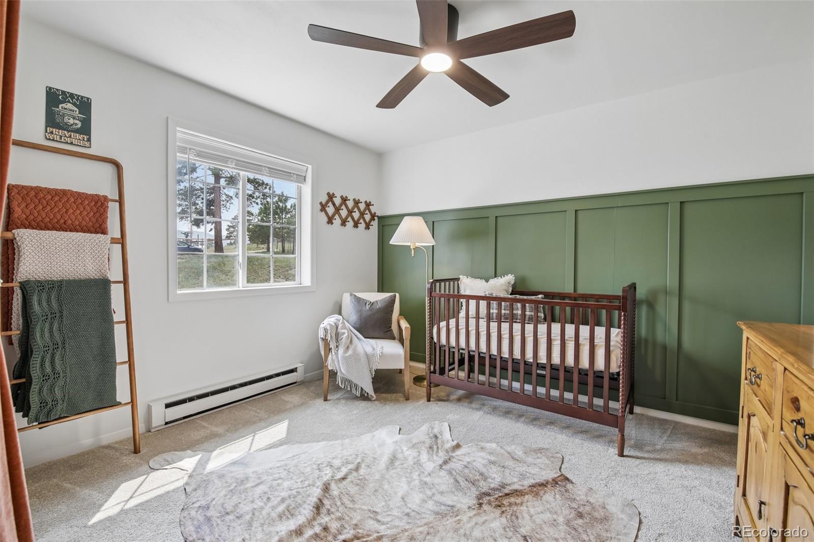 MLS Image #23 for 278  overlook drive,bailey, Colorado