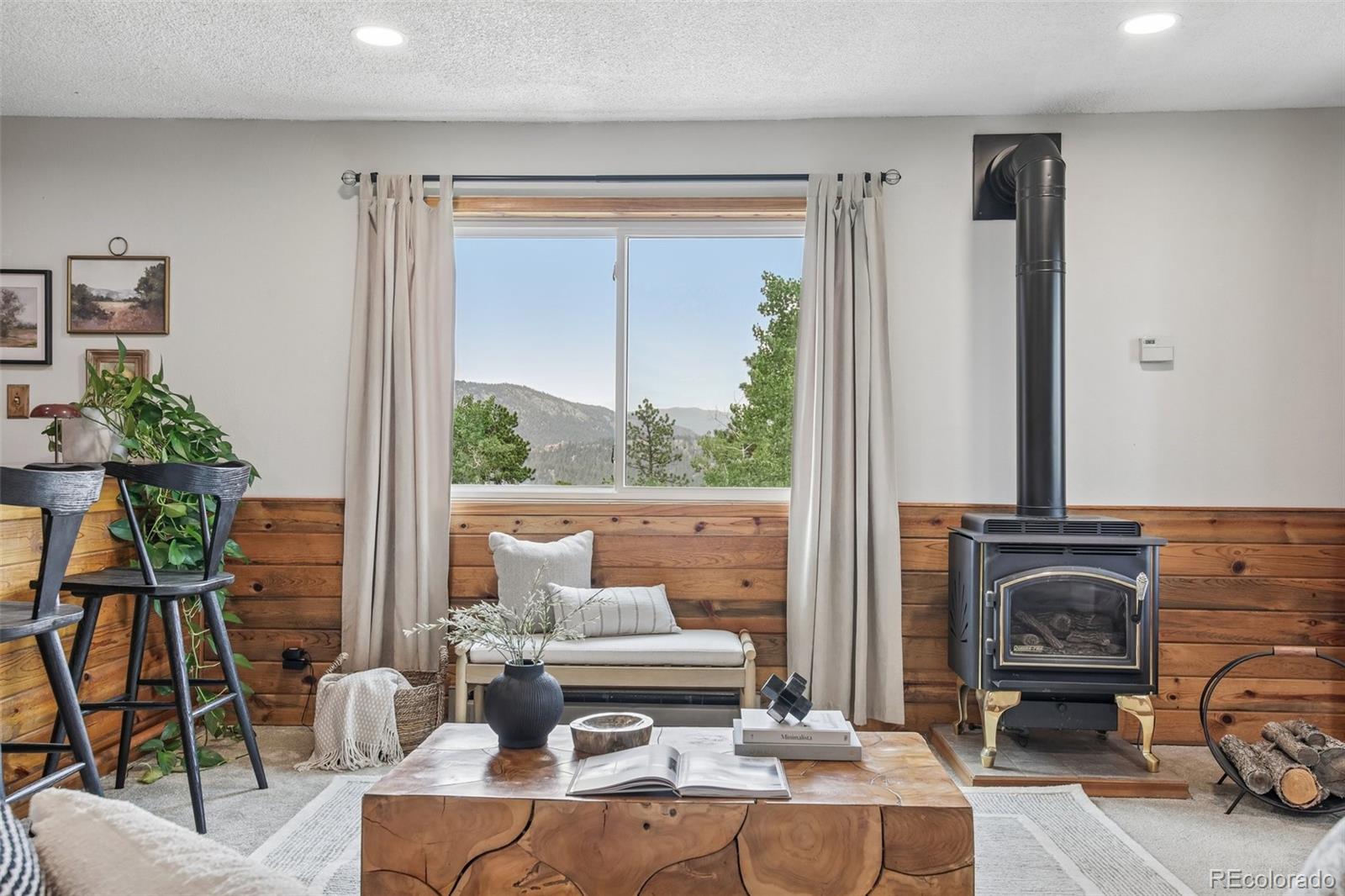 MLS Image #25 for 278  overlook drive,bailey, Colorado