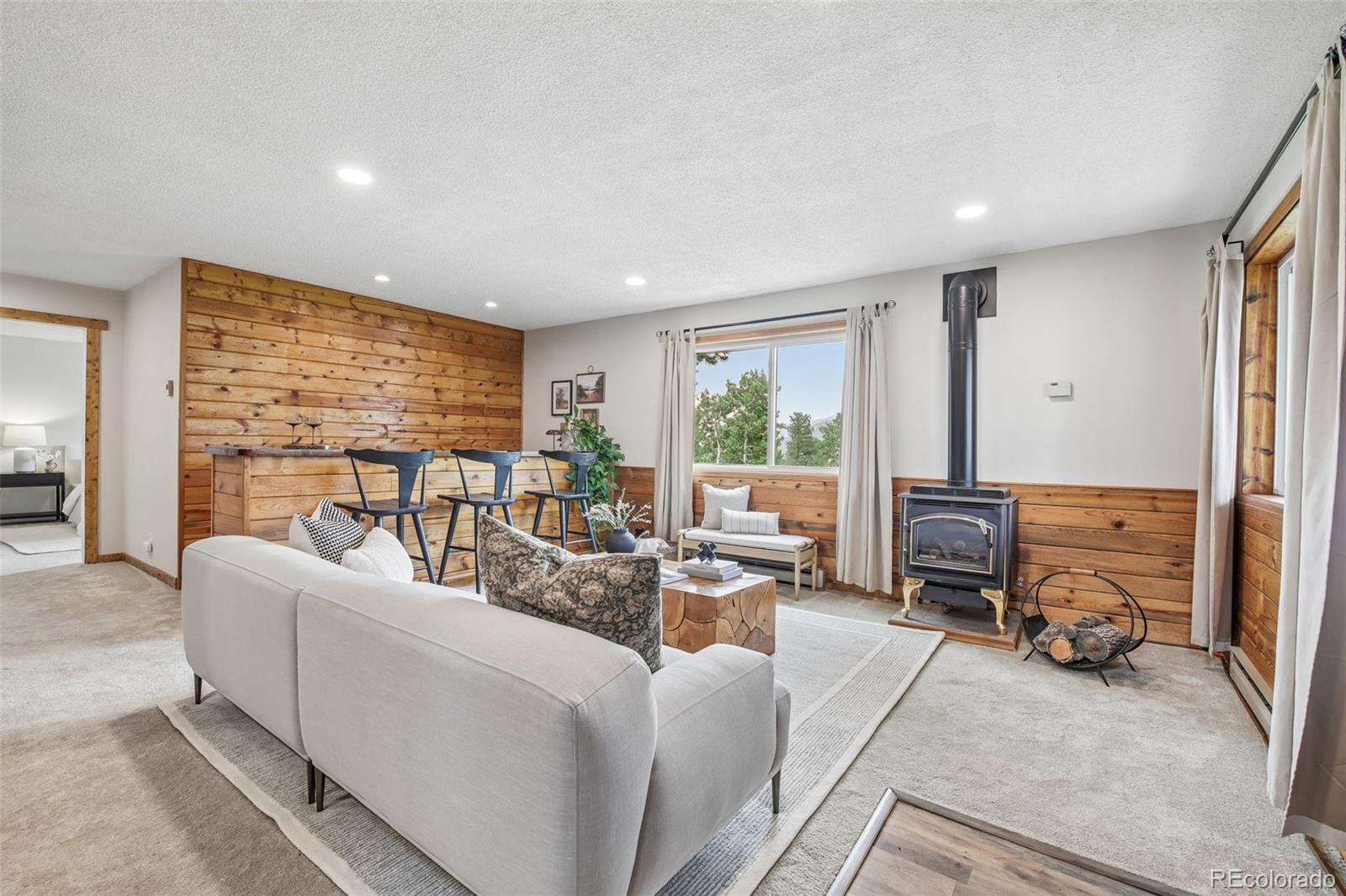 MLS Image #26 for 278  overlook drive,bailey, Colorado