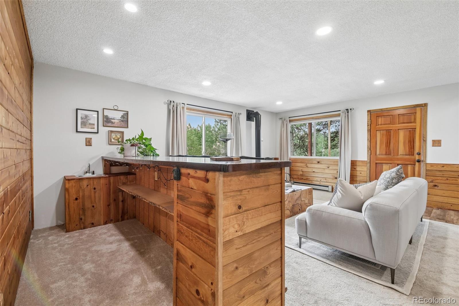 MLS Image #29 for 278  overlook drive,bailey, Colorado