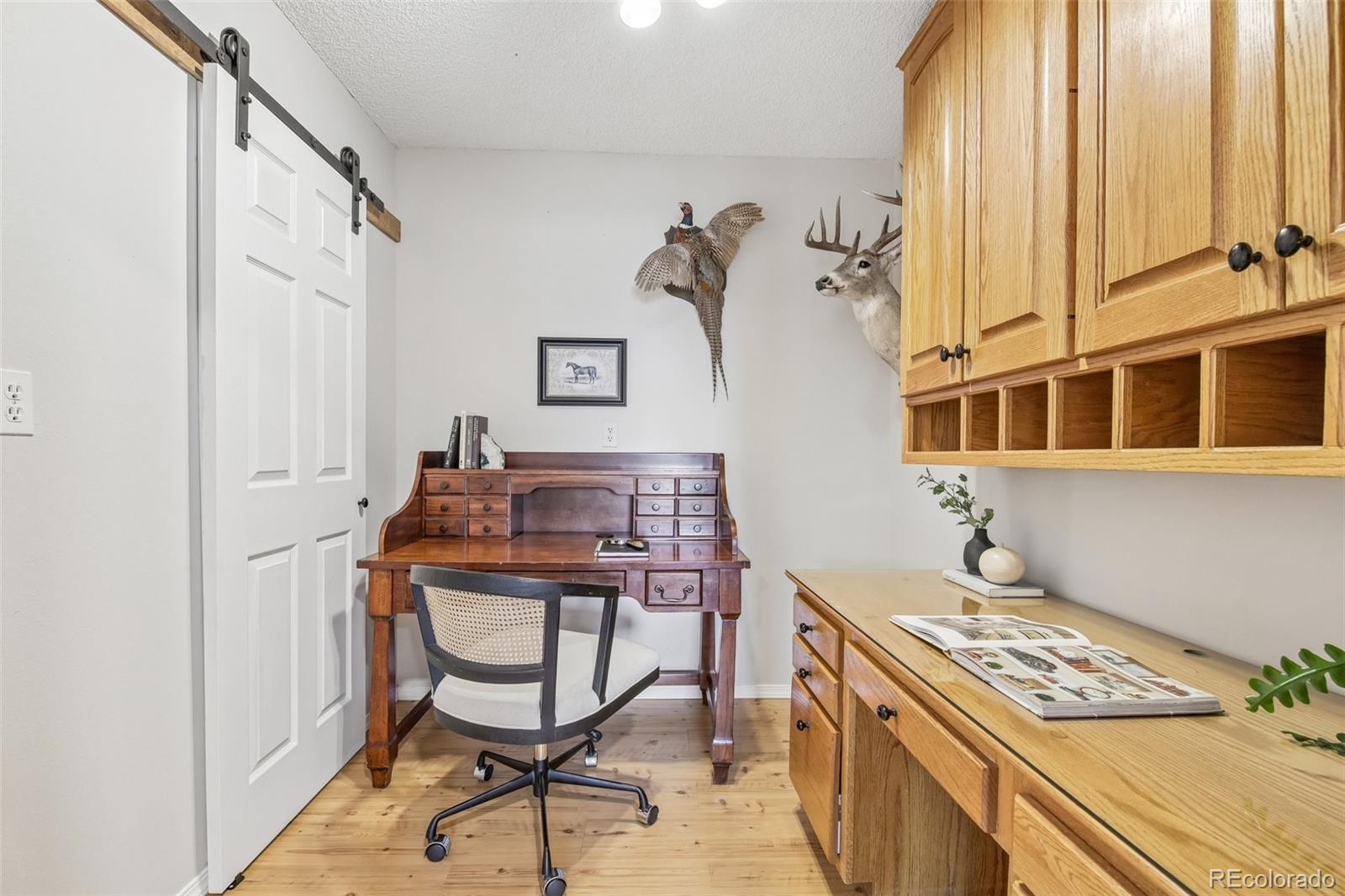 MLS Image #30 for 278  overlook drive,bailey, Colorado