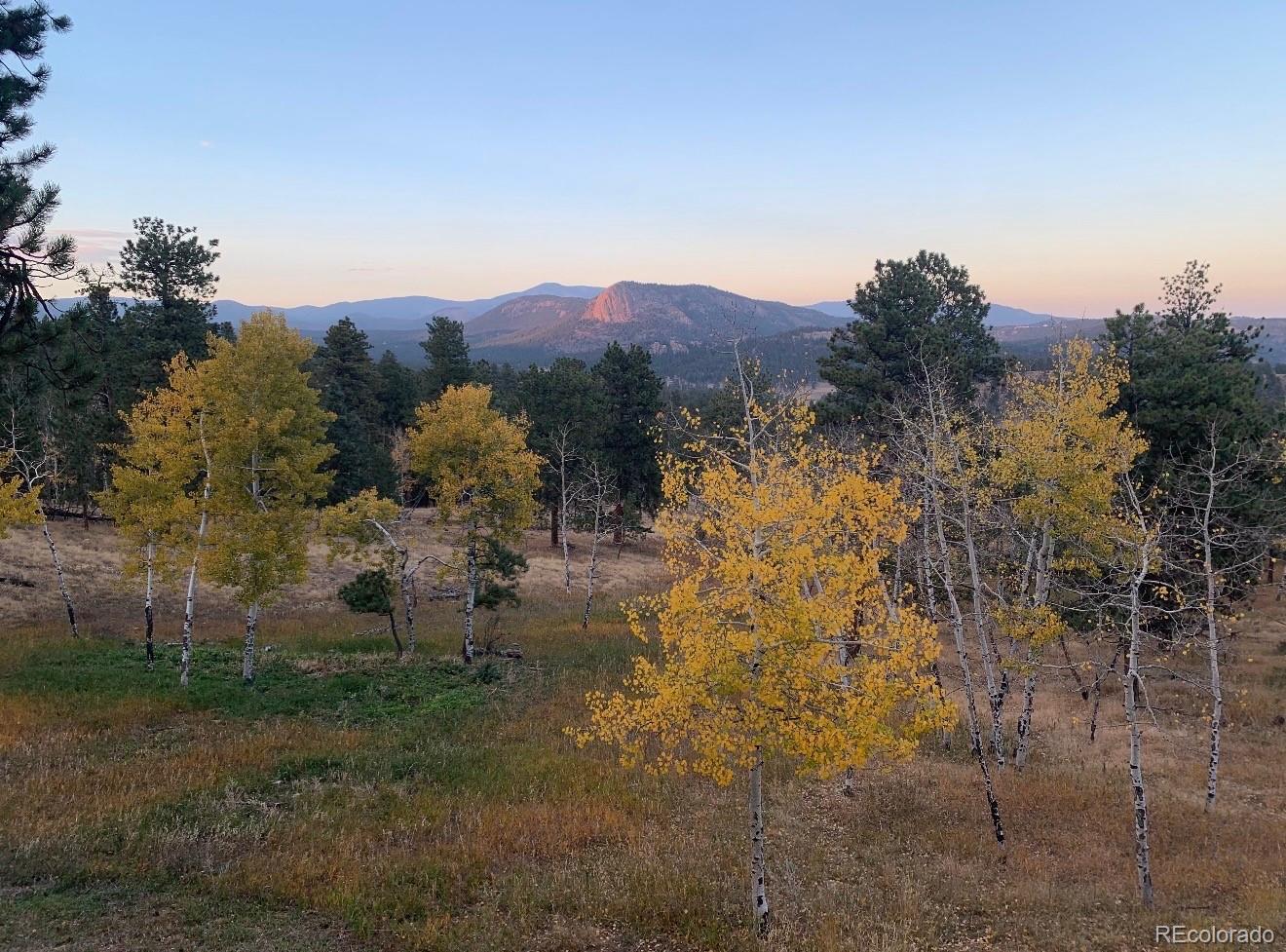 MLS Image #39 for 278  overlook drive,bailey, Colorado
