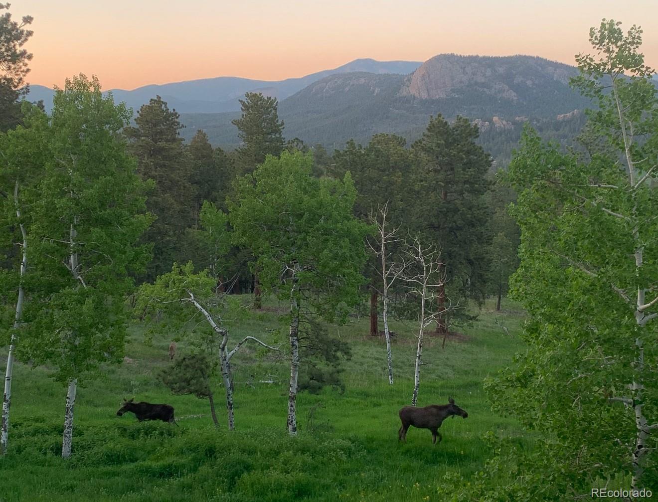 MLS Image #40 for 278  overlook drive,bailey, Colorado