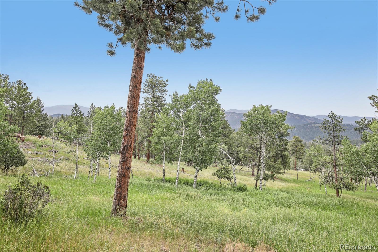 MLS Image #42 for 278  overlook drive,bailey, Colorado
